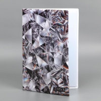 Папка для семейных документов &laquo;Docs&raquo;, 8 файлов А4