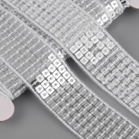 Лента декоративная с квадратными пайетками, 2,5 см, 9 &plusmn; 0,5 м, цвет серебряный