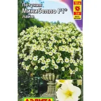 Семена цветов Петуния мини Минибелло F1 лайм многоцветковая  (драже) С. Farao, Ц/П,5 шт.