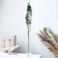 Сухие цветы &laquo;Молочай Миля&raquo;, 25 г, длина &mdash; 70 см, цвет зелёный