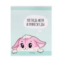 Тетрадь 48 листов в клетку Calligrata &laquo;Лисички&raquo;, обложка мелованная бумага, серые листы, МИКС