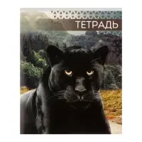 Тетрадь 48 листов в клетку, Calligrata &laquo;Дикие кошки&raquo;, обложка мелованная бумага, МИКС