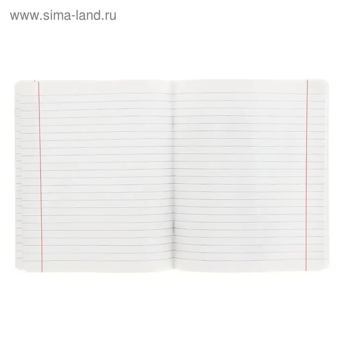 Тетрадь 18 листов линейка &laquo;Великолепная пятёрка&raquo;, бумажная обложка, МИКС