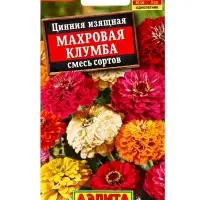 Семена цветов Цинния Махровая клумба, смесь сортов , Ц/П,12 шт.