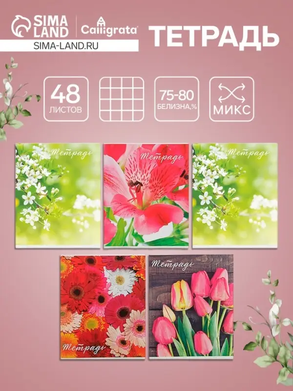Тетрадь 48 листов в клетку Calligrata &laquo;Цветы&raquo;, серые листы, МИКС