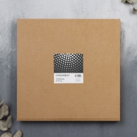 Тарелка керамическая &laquo;Орнамент&raquo;, 27 см, цвет чёрный