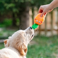 Игрушка для собак &laquo;Морковка&raquo; с пищалкой, 18 см, оранжевая