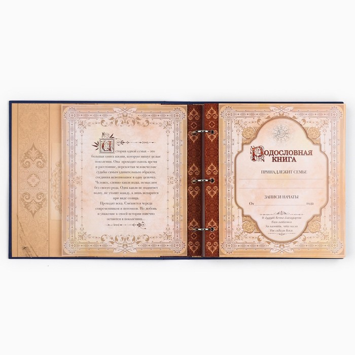 Родословная книга с рамкой под фото &laquo;Родословная книга&raquo;, 50 листов, 21,5 х 23,7 см.