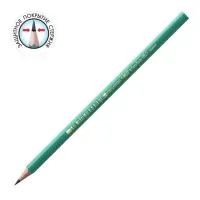 Карандаш чернографитный (простой) НВ, BIC Evolution, заточенный, пластик, без ластика, шестигранный, зелёный корпус