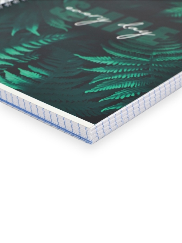 Тетрадь А5, 96 листов на спирали, 3 шт. &laquo;Nature&raquo; МИКС