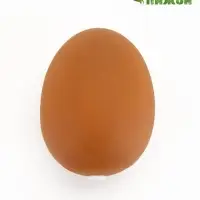 Игрушка для собак пищащая "Яйцо", 5,5 см,