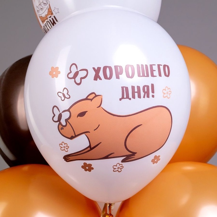 Шар латексный 12" "СДР! Капибара", 1 ст, 2 цв, набор 25 шт. МИКС