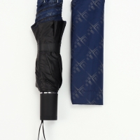 Зонт механический &laquo;Узор&raquo;, эпонж, 4 сложения, 10 спиц, R = 53/60 см, D = 120 см, цвет МИКС