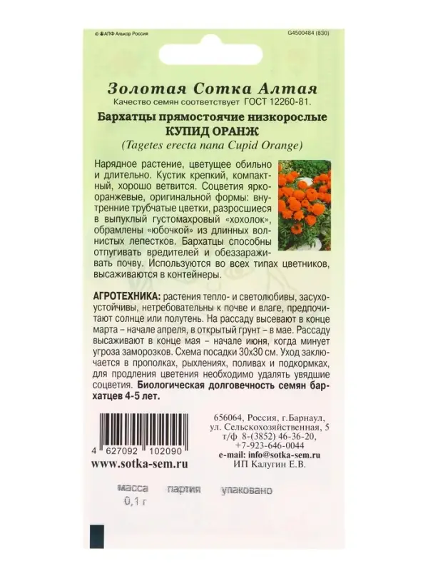 Семена Бархатцы Купид Оранж /Сотка/ 0,1г/ прям. 35см, d-10см/*1500