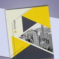 Тетрадь 48 листов в линейку Calligrata &laquo;Мегаполис&raquo;, обложка мелованная бумага, блок №2, белизна 75% (серые листы), МИКС