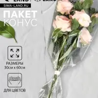 Пакет цветочный Конус, мини, 30/60