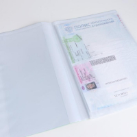 Папка для семейных документов &laquo;Docs&raquo;, 8 файлов А4