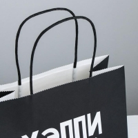 Пакет подарочный, упаковка, &laquo;Хэппи пёздей&raquo;, 22 х 22 х 11 см