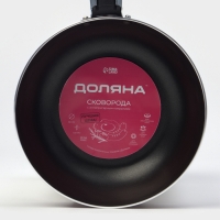 Сковорода Доляна Promo, d=16 см, пластиковая ручка, антипригарное покрытие, цвет бордовый