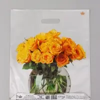 Пакет подарочный Восхищение  45 х 38 см 55 мкм