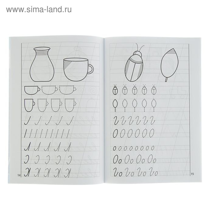 Рабочая тетрадь для детей 5-6 лет &laquo;Мои первые прописи&raquo;, Бортникова Е.