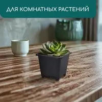 Горшок для рассады, 250 мл, d=9 см, h=8 см, пластик, чёрный, Greengo