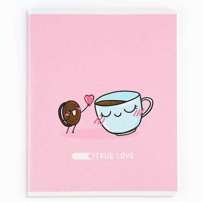 Тетрадь в клетку, 48 листов А5 на скрепке , внутренний блок №1 МИКС &laquo;1 сентября: Истинная любовь&raquo; ВД лак