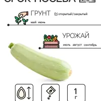 Семена Кабачок "Белоплодные", 1 г