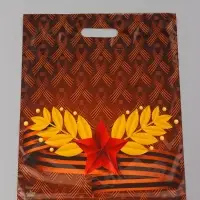 Пакет подарочный Воля  45 х 38 см 55 мкм