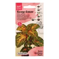 Семена цветов Колеус блюме "Гиант Экзебишен Марбл", 10 шт