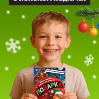 Новогодний квест по поиску подарка "Похититель подарков", 24 стр