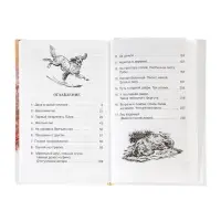 Внеклассное чтение. Белый Бим Чёрное ухо. Автор: Троепольский Г.