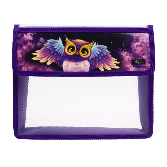 Папка для тетрадей А5 (230 х 190 х 50 мм), с клапаном на липучке, пластик/текстиль, Calligrata