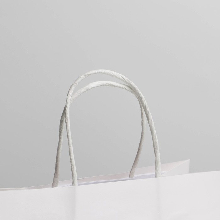 Пакет подарочный, упаковка, &laquo;Пирожочек&raquo;, 22 х 22 х 11 см