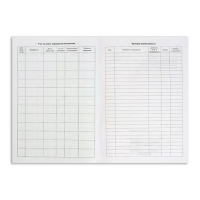 Журнал учета внеурочной деятельности в образовательной организации А4, 32 листа