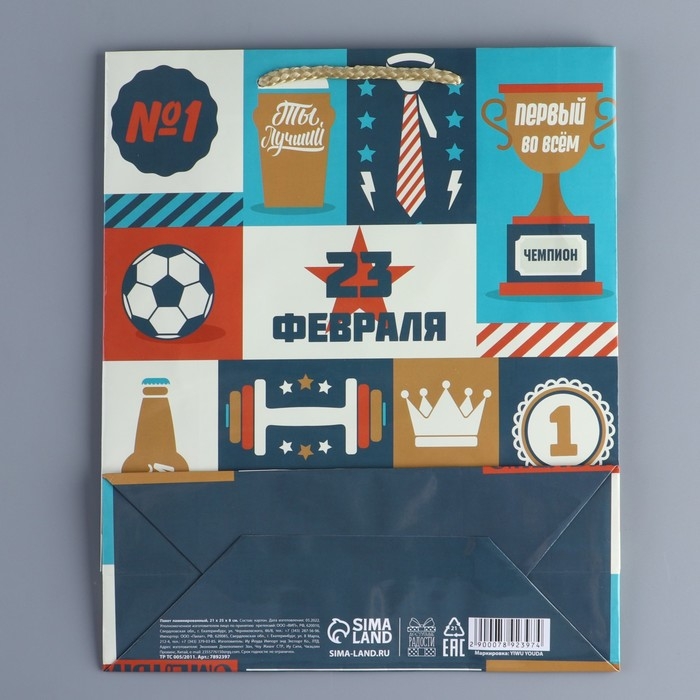 Пакет подарочный ламинированный вертикальный, упаковка, &laquo;Мужчине мечты&raquo;, ML 21 х 25 х 8 см