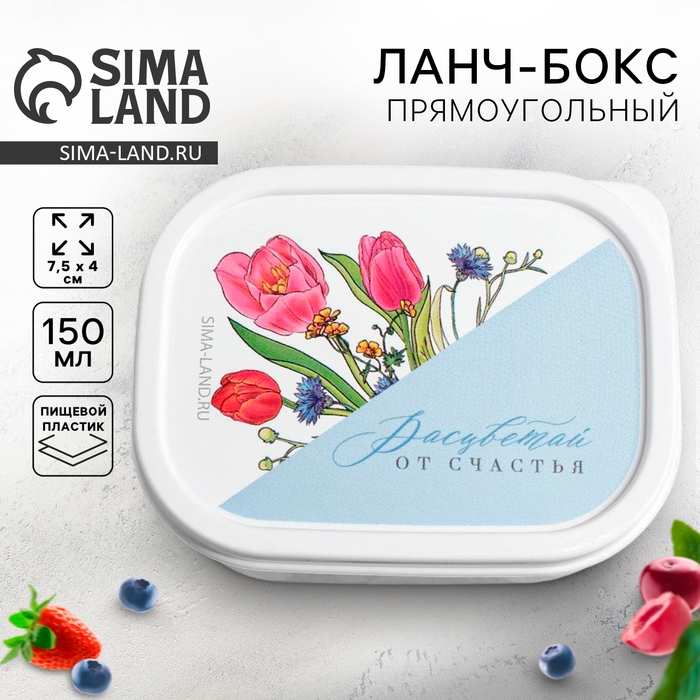 Ланч бокс прямоугольный FoodVibes &laquo;Расцветай&raquo;, 150 мл