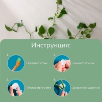 Крепления для вьющихся растений, настенные, самоклеящиеся, &laquo;Улитка&raquo;, d = 10 мм, набор 10 шт., Greengo