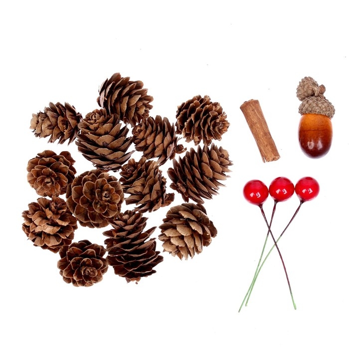 Набор новогоднего декора &laquo;Пряные шишки&raquo;