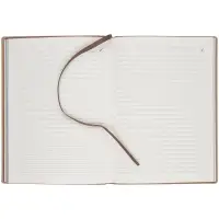 Ежедневник Anaconda, недатированный, серебристый