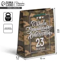 Пакет подарочный ламинированный, упаковка, &laquo;С 23 февраля&raquo;, S 12 х 15 х 5.5 см