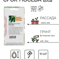 Семена Огурец "Пальчик", скороспелый, партенокарпический, 10 шт