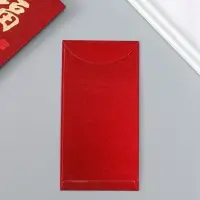 Конверт денежный бумага "Пожелание счастья" набор 6 шт тиснение блеск 9х17 см