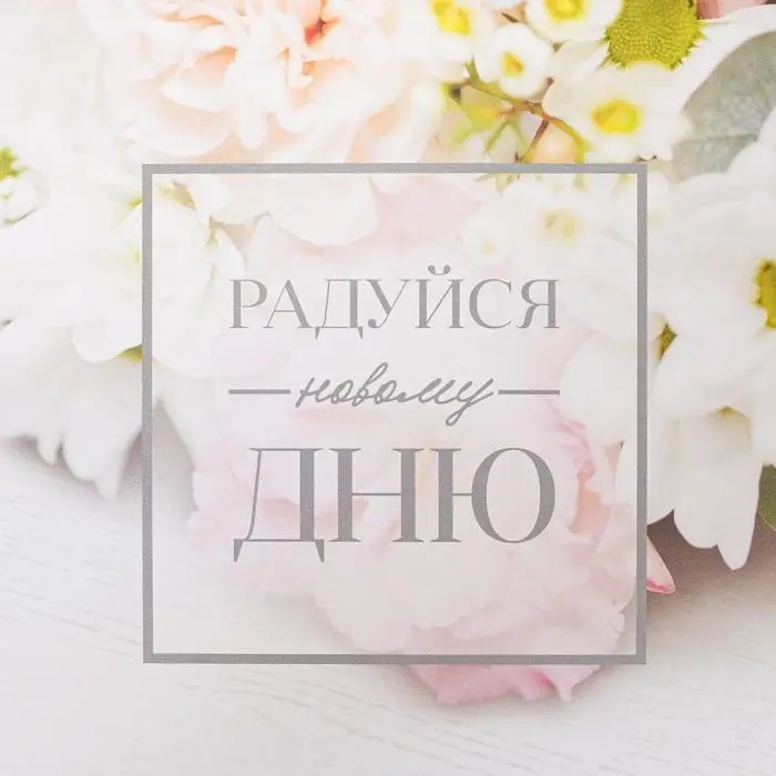 Коробка для печенья, кондитерская упаковка с пластиковой крышкой, &laquo;Радуйся новому дню&raquo;, 18 х 18 х 3 см