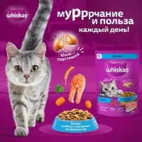 Сухой корм Whiskas для кошек, лосось, подушечки, 1,3 кг