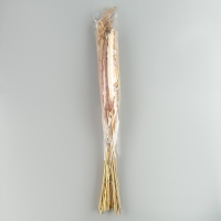 Букет из сухоцветов &laquo;Изящность&raquo;, высота 47 см