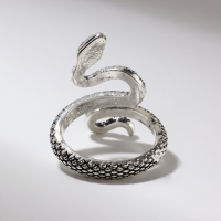 Кольцо &laquo;Змея&raquo; изогнутая, цвет чернёное серебро, безразмерное