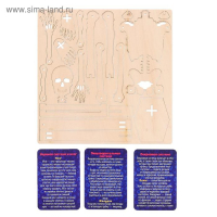 Набор для опытов &laquo;Строение человека&raquo;, 10 обучающих карточек