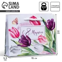 Пакет подарочный ламинированный, упаковка, &laquo;8 марта&raquo;, S 12 х 15 х 5.5 см