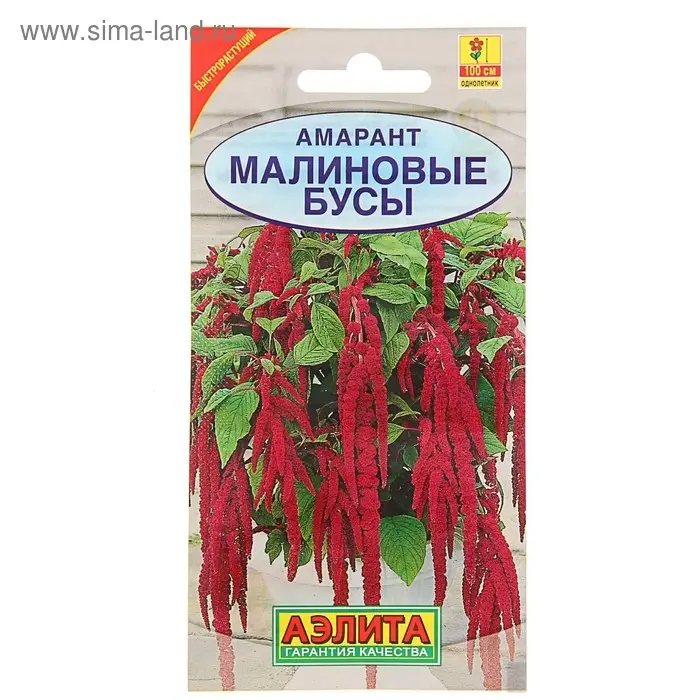 Семена цветов Амарант "Малиновые бусы", О, 0,2 г